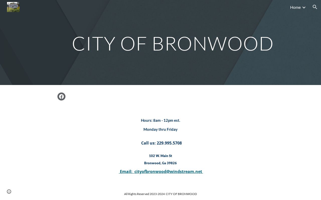 Bronwood municipal court docket City Hall contact