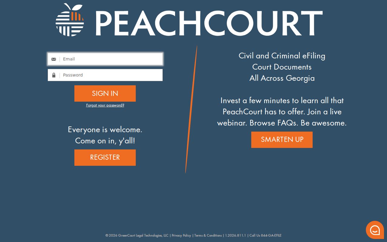 Terrell County civil docket fields in PeachCourt
